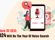 Voice Search Optimization for 2024: Are You Ready?